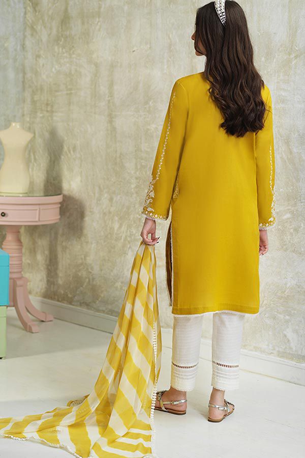Zara Shahjahan – Embroidered Lawn 3PC – Summer Collection 2025 DW 509