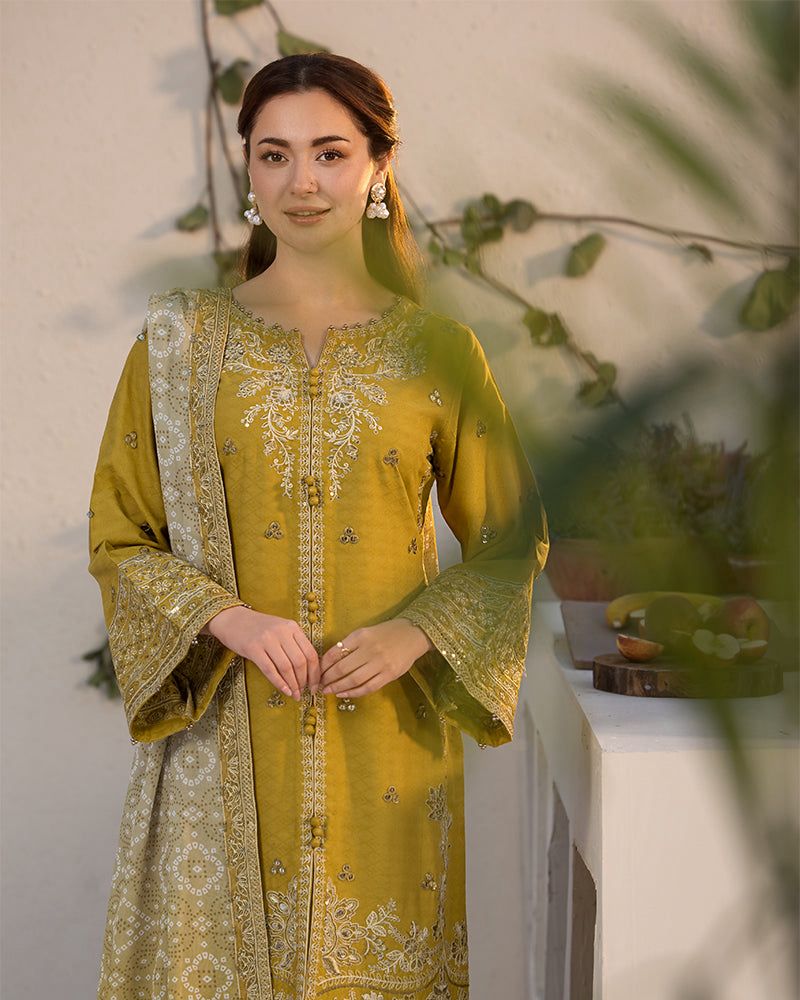 Zara Shahjahan – Embroidered Lawn 3PC – Summer Collection 2025 DW 510